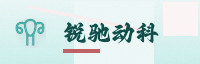 行业权威伙伴